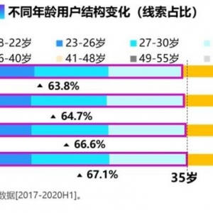 风云变幻 数说中国车市的用户结构变迁